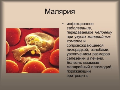Малярия информация для туристов