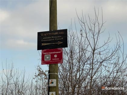 В возрождённый жителями Нижнего Тагила зеленый сад нагрянули вандалы