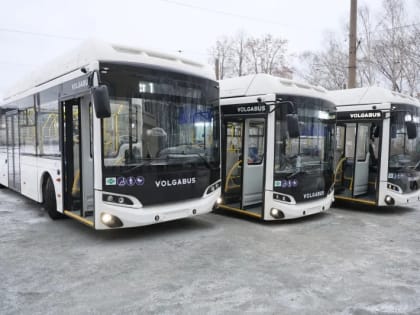 Автобусы между Гальянкой и Вагонкой так и не поехали