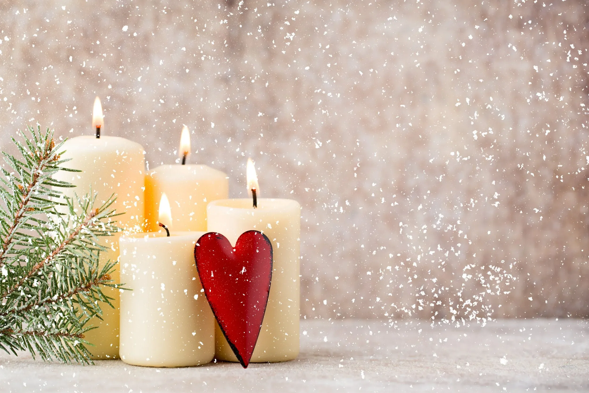 Navigating Pet Loss During the Holidays