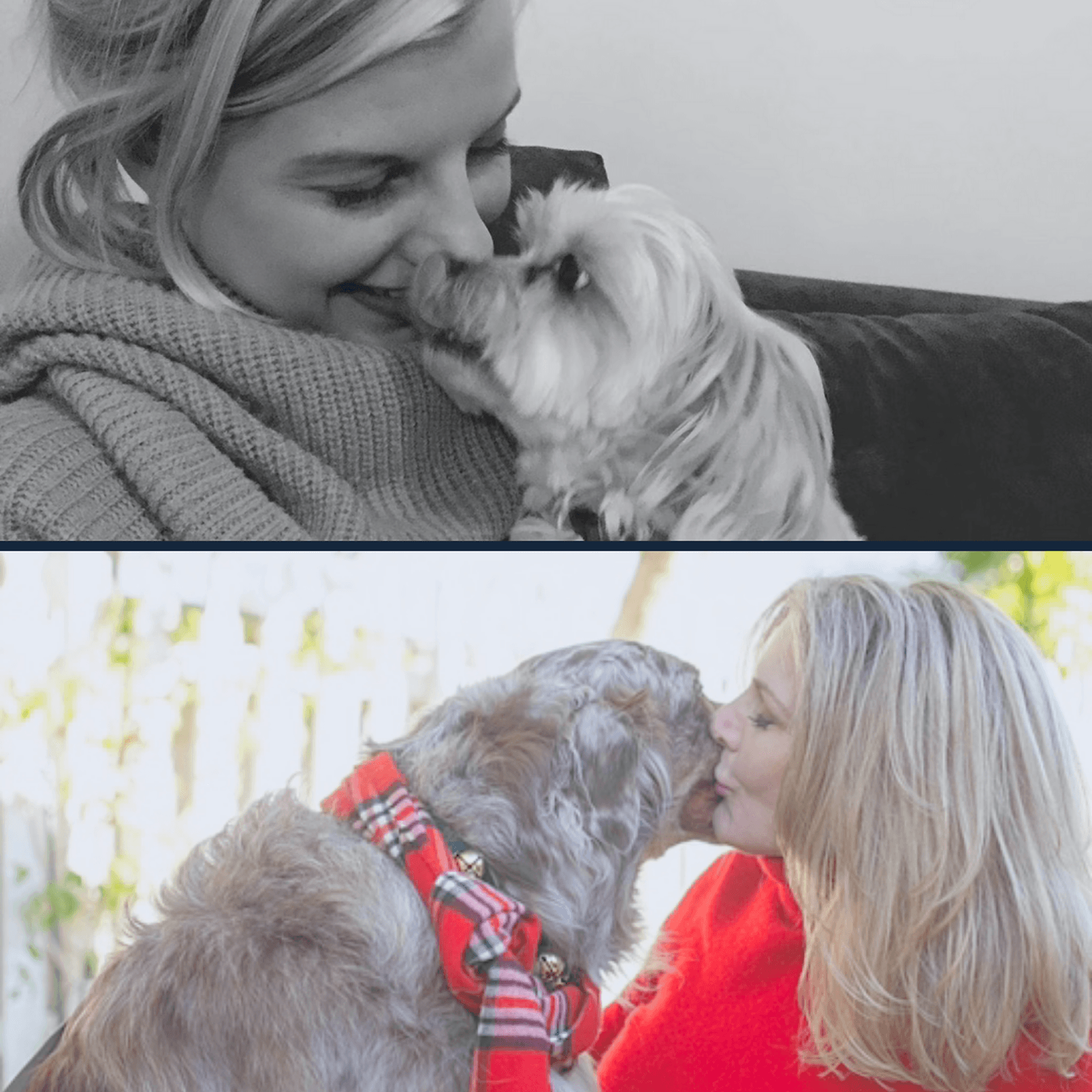Livestream: Q&A about Service Dogs, K9 and Emotional Support Animals with Britta, Bobbie, & Julie
