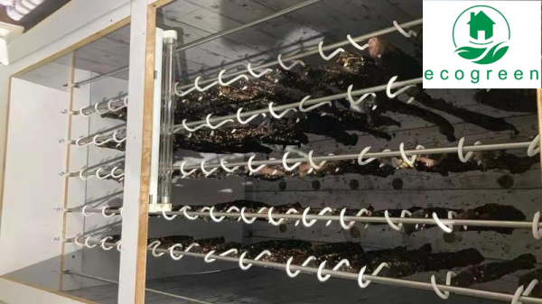 Meat Drying