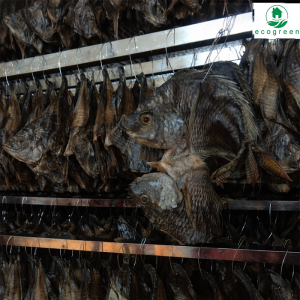 Fish Drying