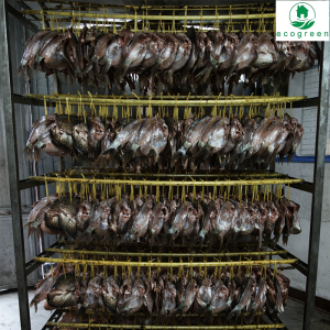 Fish Drying