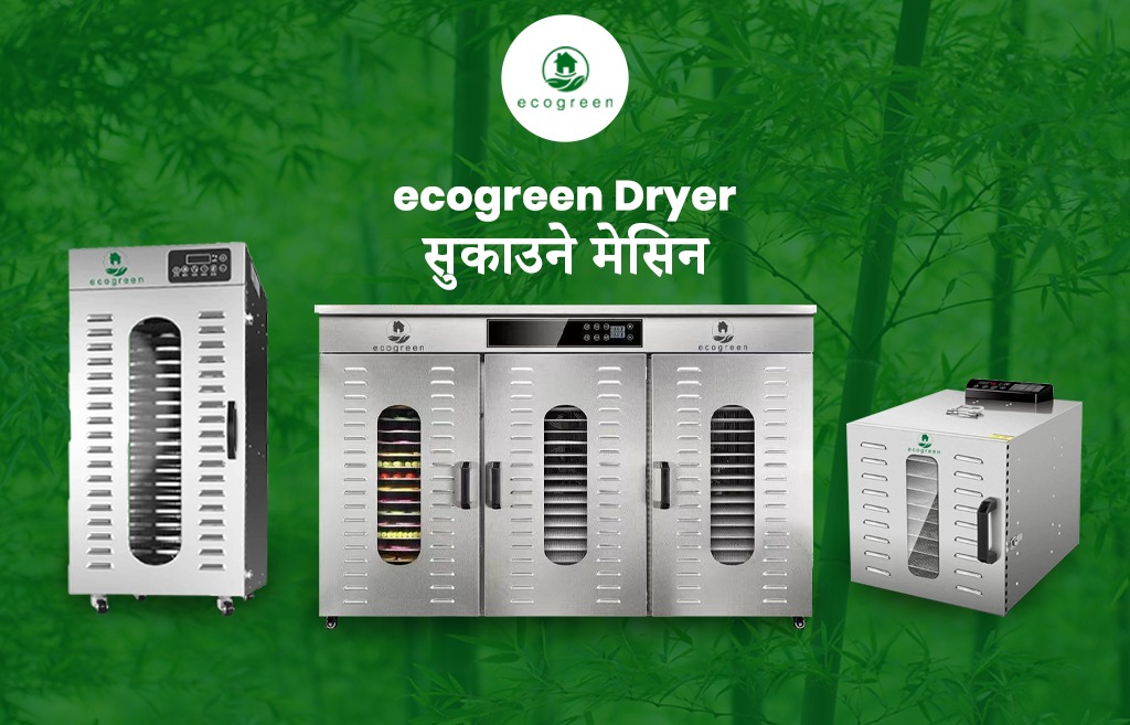 Efficient ecogreen Food Dehydrator