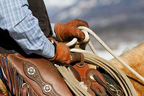 Vue 5 de Thinsulate Gants De