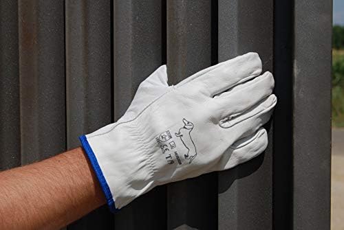 Vue 3 de Ruvigrab Pack De Gants