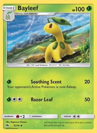 Bayleef