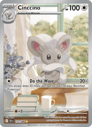 Cinccino