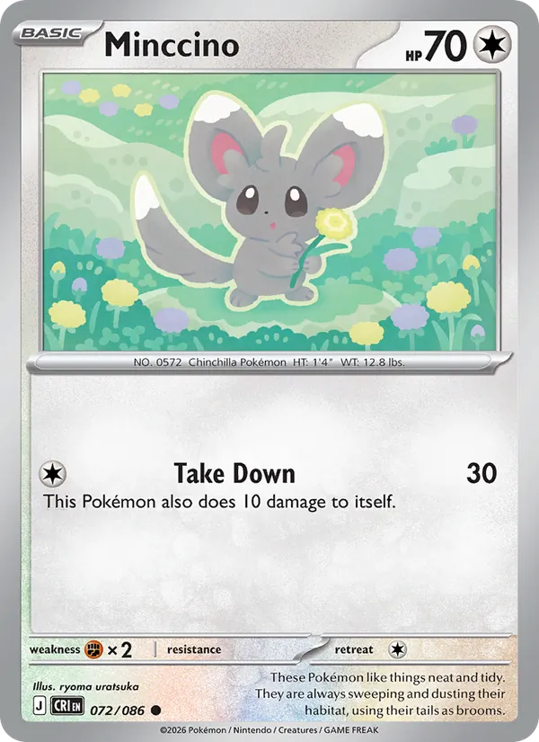 Minccino