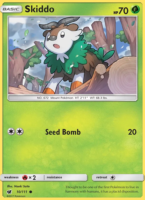 Skiddo