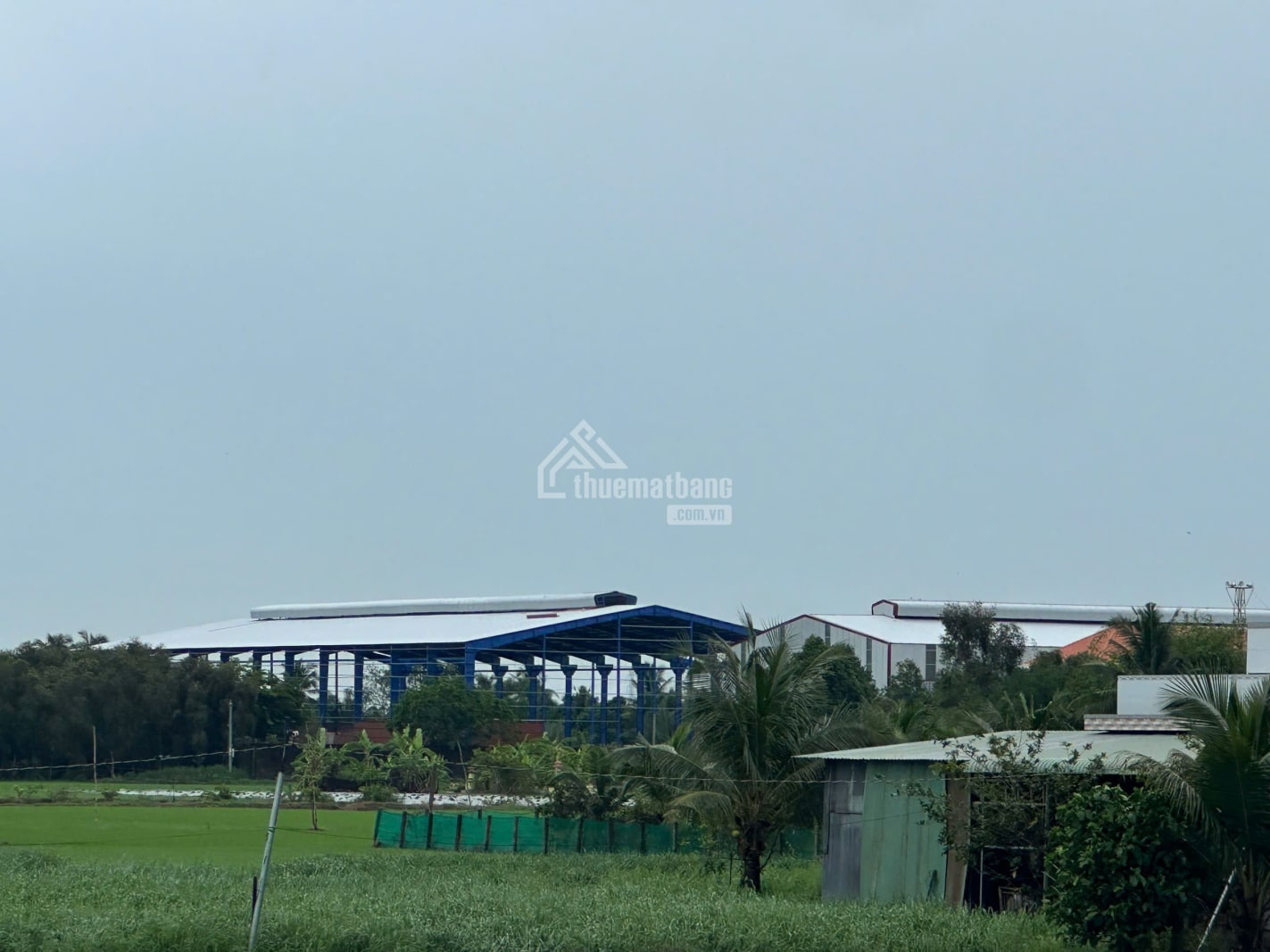 Cho thuê kho xưởng Tân An, Long An Cho thuê kho xưởng Tân An, Long An