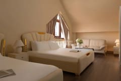 Cho thuê biệt thự VIP ở Thảo Điền - ảnh 8