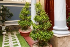 Cho thuê biệt thự KDC Nam Long - ảnh 2