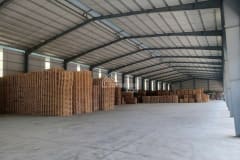 Cho thuê kho xưởng 1300m2 Củ Chi - ảnh 3