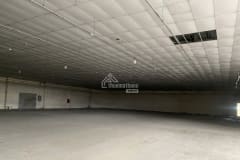 Cho thuê kho xưởng quận 7 - Diện tích 650 m2 - ảnh 2