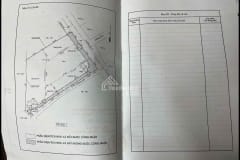 Cho thuê kho xưởng TP. Thủ Đức - ảnh 4