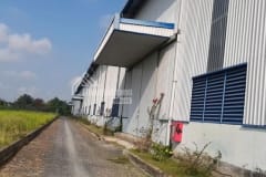 cho thuê kho xưởng Long An - diện tích 11000m2 - ảnh 6