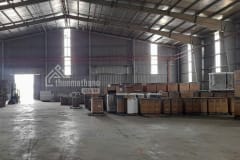 cho thuê kho xưởng Long An - diện tích 11000m2 - ảnh 2