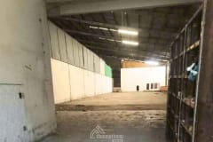 Thuê kho xưởng tại Tân Bình – Diện tích 1.000m², đất SKC, xe tải ra vào, giá tốt khu trung tâm - ảnh 1