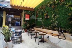 Cho Thuê Mặt Bằng Quận 1 - Diện Tích 600m2 - ảnh 3