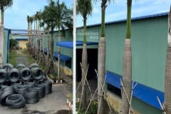 Cho thuê kho xưởng tại Long Thành, Đồng Nai - ảnh 1