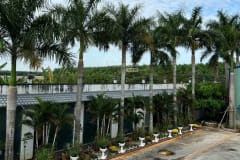 Cho thuê kho xưởng tại Long Thành, Đồng Nai - ảnh 2