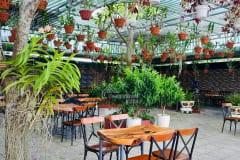 Cho thuê mặt bằng đang kinh doanh Quán Cafe (Cho thuê dài hạn, có thể kinh doanh được ngay) - ảnh 3