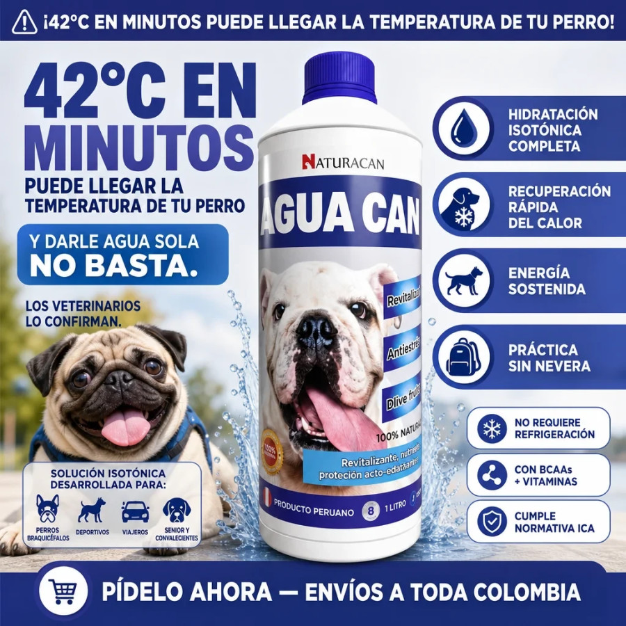 Agua Can 2