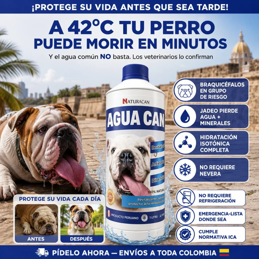Agua Can 4