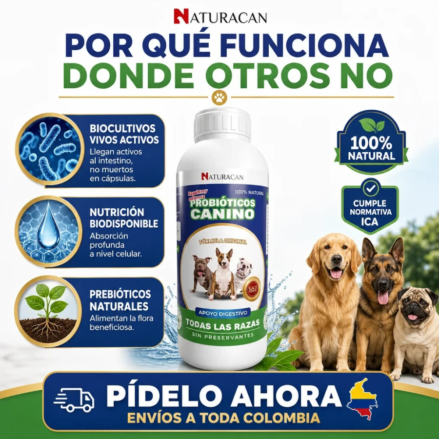 Probiótico Canino 3