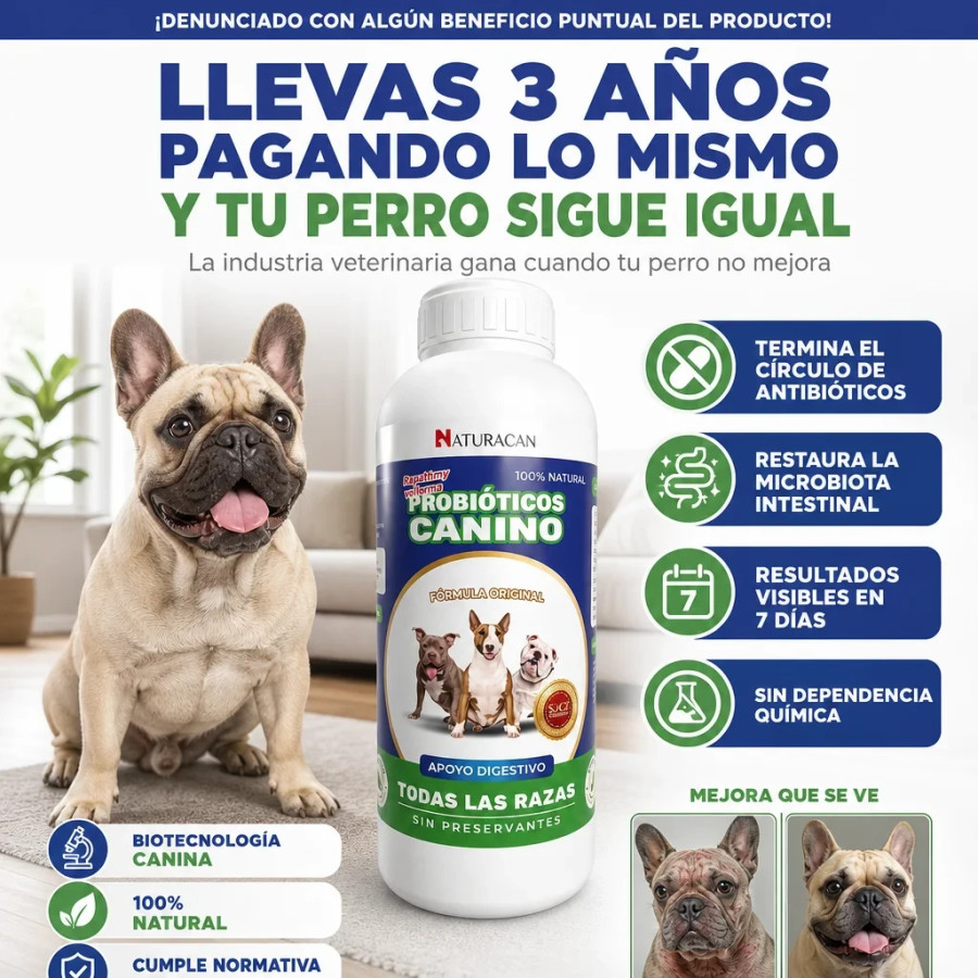 Probiótico Canino 4
