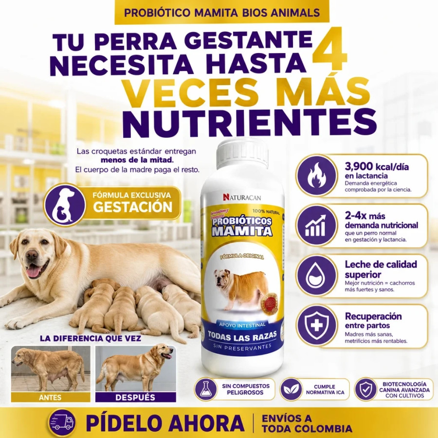 Probiótico Mamita 4