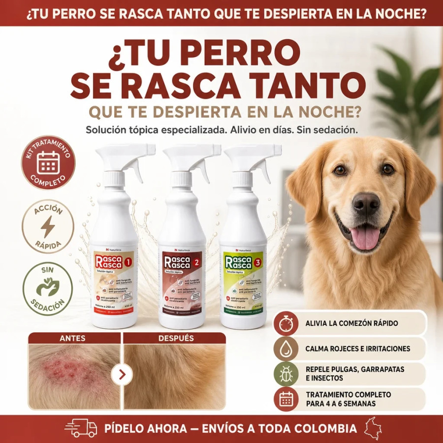 Rasca Rasca Kit 2