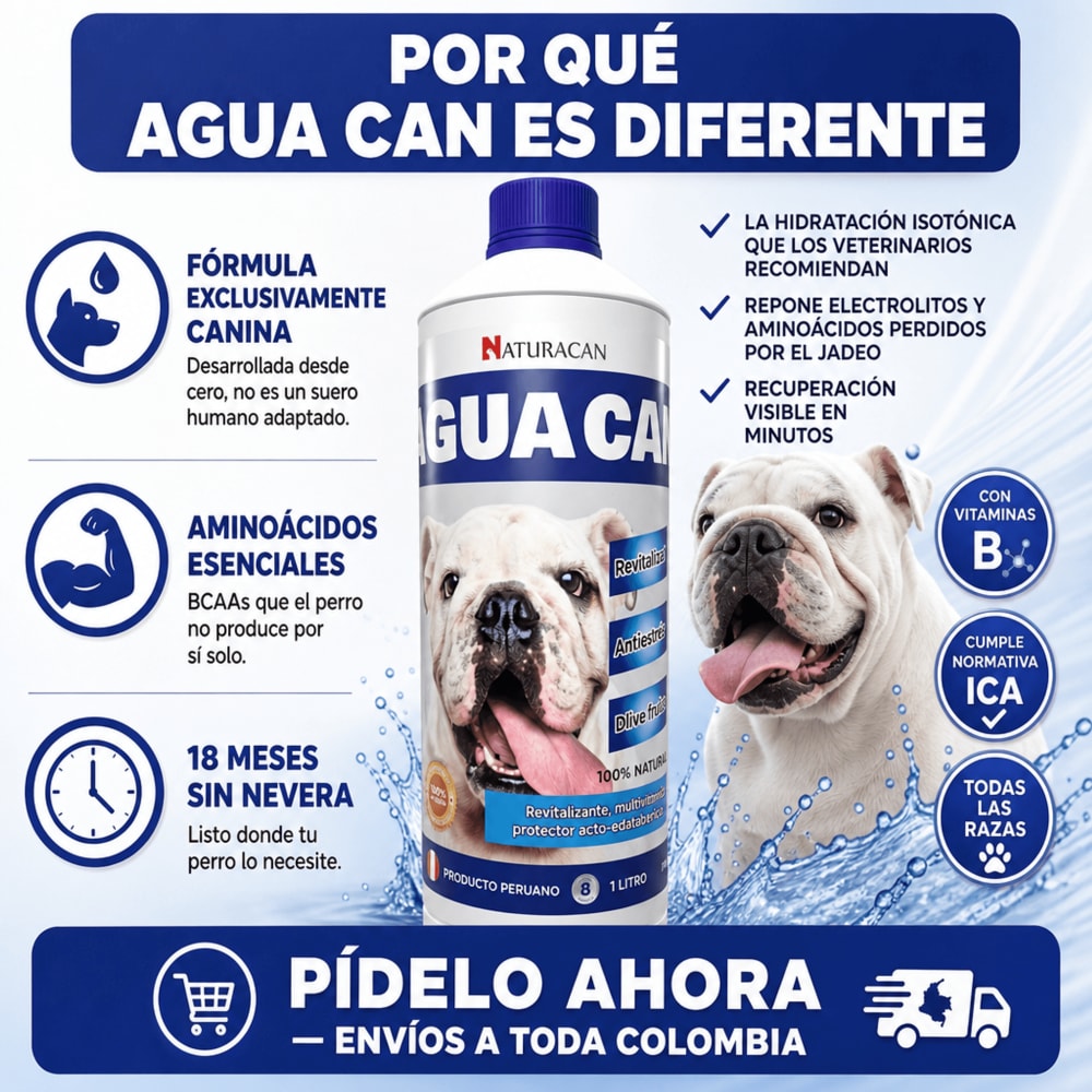 Video testimonio Agua Can