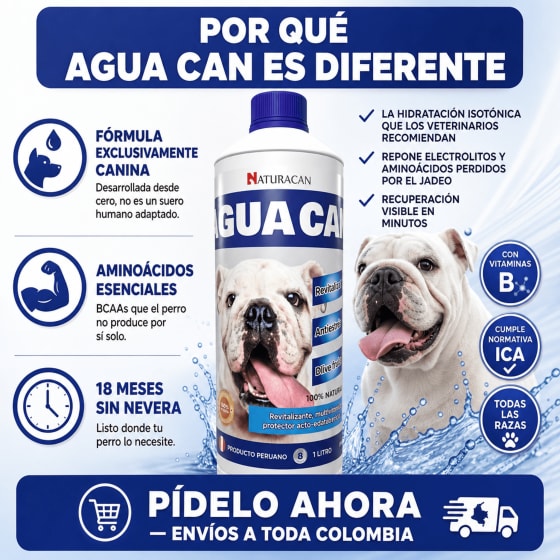 Agua Can 2
