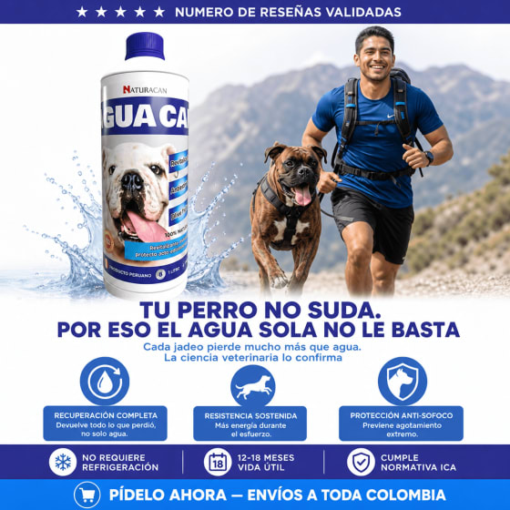 Agua Can 3