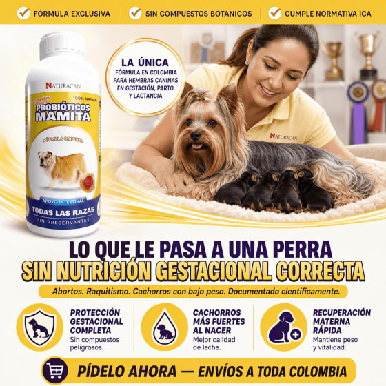 Probiótico Mamita 2