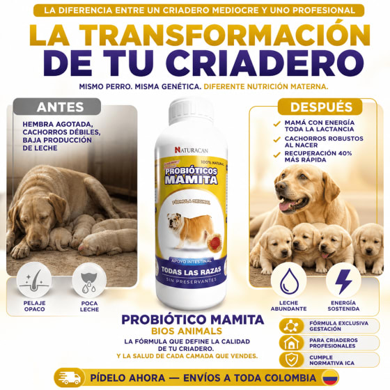Probiótico Mamita 4