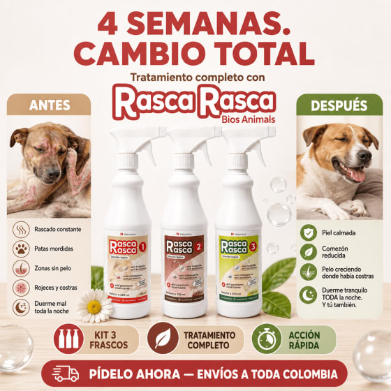 Rasca Rasca Kit 3