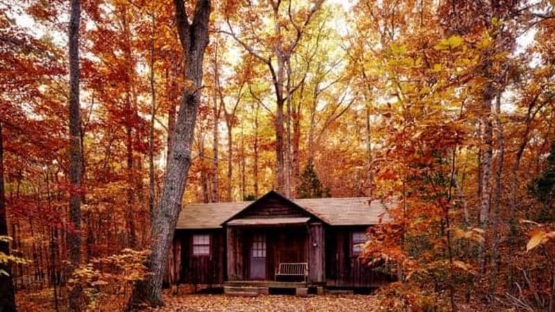 Cabin fever