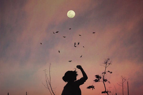 Silhouette of a person at twilight with birds flocking