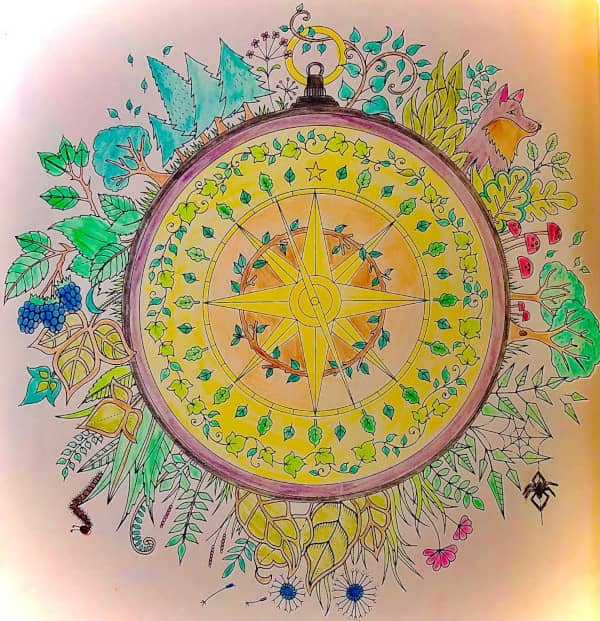 A's mindful compass illustration