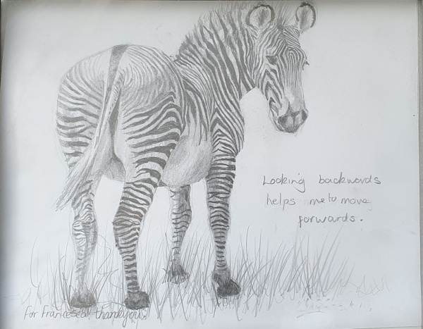R's zebra pencil illustration