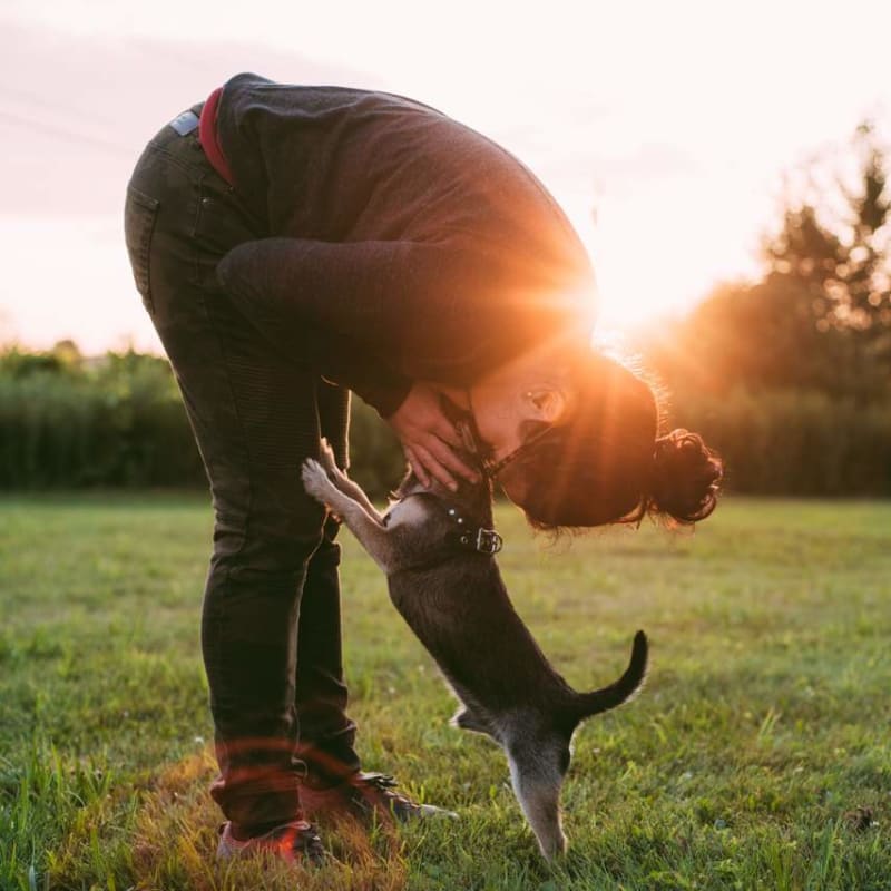 Dog Walking, Boarding and Drop-in Visits Across Estonia