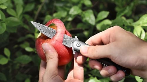 Vue 6 de Couteau De Poche Couteau