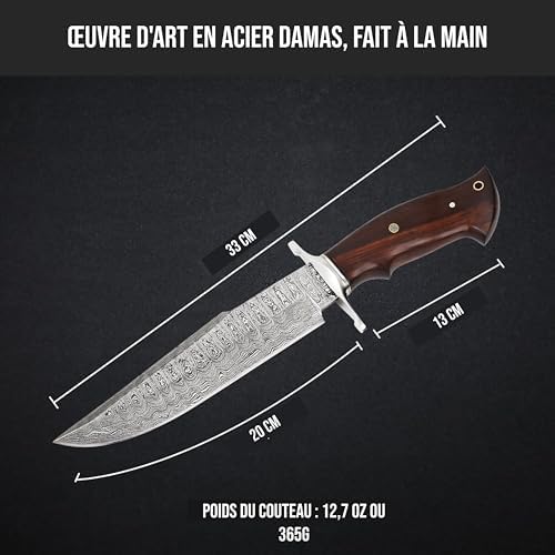 Vue 2 de Bigcat Roar Raptor Long