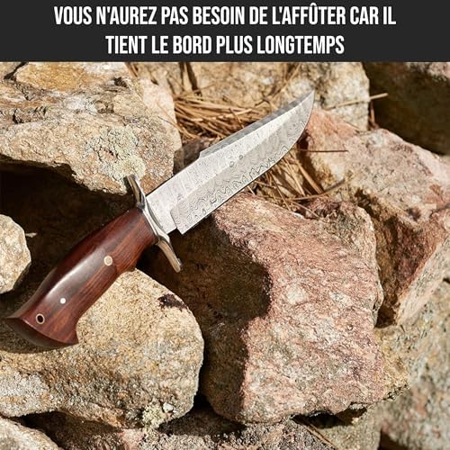 Vue 3 de Bigcat Roar Raptor Long