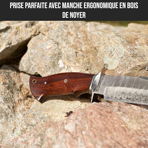 Vue 4 de Bigcat Roar Raptor Long