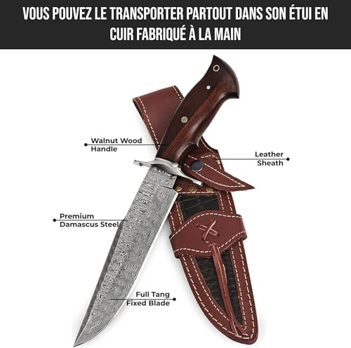 Vue 5 de Bigcat Roar Raptor Long